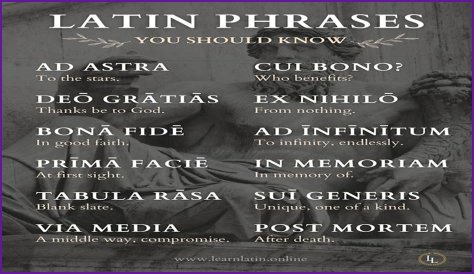 A Profile Of A Latin Beauty