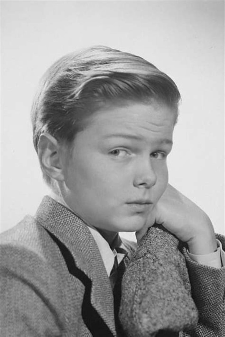 Hayden Rorke Net Worth | BlogPaper